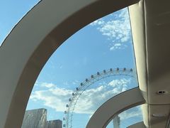 -海河游船-永乐码头(大悲院)