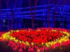 -水上乐园·欢乐世界