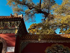 -沈阳市东陵公园
