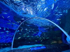 -海合安成都极地海洋公园