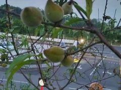 -中国移动南方基地