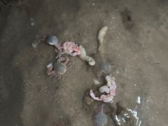 -辽宁团山国家级海洋公园