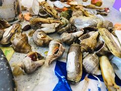 -仙螺岛海鲜自助餐厅(总店)