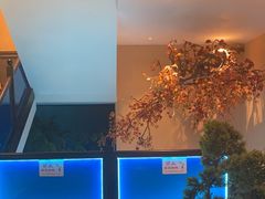 -東大方(武康千秋广场店)