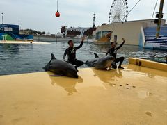 -秦皇岛乐岛海洋王国