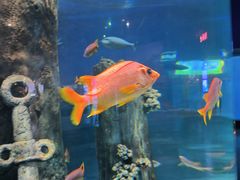 -福州罗源湾海洋世界旅游区