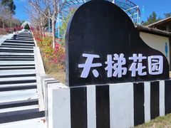 -盈香心动乐园