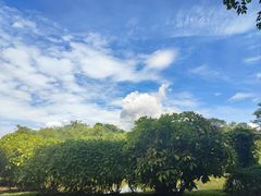 -中国科学院西双版纳热带植物园