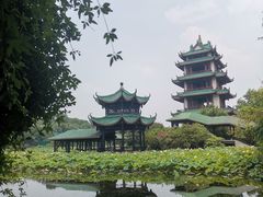 -桂湖森林公园