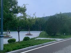-佛慧山