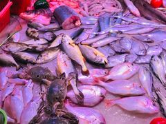 -龙眼南白粥六顺白粥