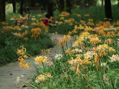 -杭州植物园