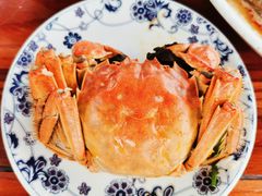 -渔娘蟹庄(阳澄湖莲花岛店)