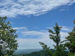 -凤栖山