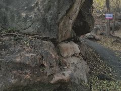 -白水寺森林公园