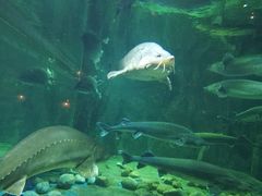 -华夏文旅海洋公园