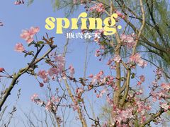 -昆山城市生态森林公园