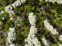 -长春公园(普阳街道)