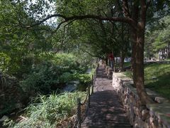 -宁波五龙潭景区