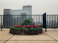 -一品淮扬 · 淮扬菜·北京万达文华酒店