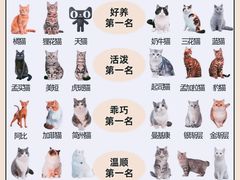 -翊宠yipet猫狗购宠庄园犬舍•猫舍