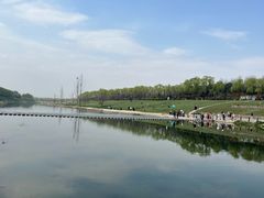 -洨河生态公园