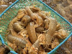 -大锅强·蒸海鲜青岛菜(金沙滩店)