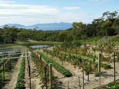 android_upload_pic-Kate's Berry Farm