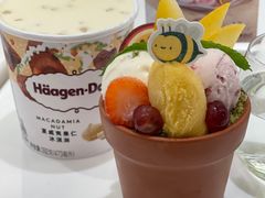 -哈根达斯(武汉天地店)