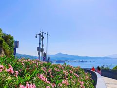-玫瑰海岸文化旅游度假区