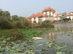 -厦门大学(思明校区)