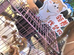 -上海第一八佰伴