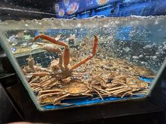 -徐记海鲜(大明宫|北二环店)