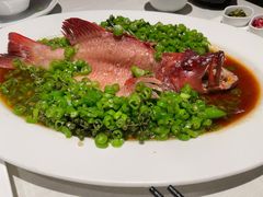 藤椒东星斑-许家菜(望江店)