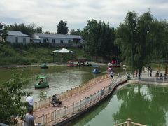 -北京鹿世界主题园