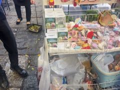 -刘姐啤酒鱼民族演艺餐厅(西街总店)