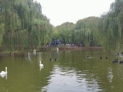 -毛遂公园