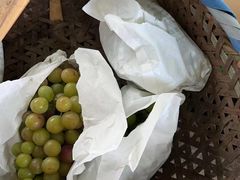 -马陆小张葡萄园农家乐