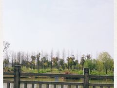 -上海长兴岛郊野公园