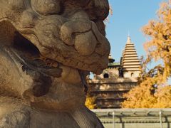 -北京石刻艺术博物馆(五塔寺)