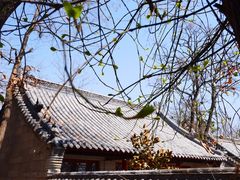 -崂山仰口游览区
