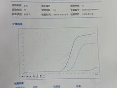 -中环花鸟鱼虫市场