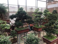 -秦美花卉(天朗·莱茵小城2期店)