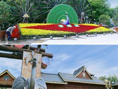 -呀路古热带植物园