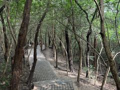 -紫金山山顶公园