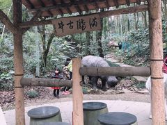 -杭州少年儿童公园