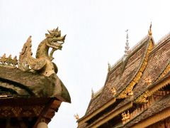 -西双版纳傣族园