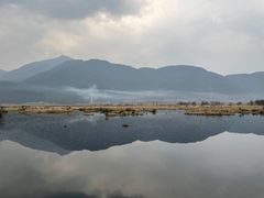 -腾冲北海湿地