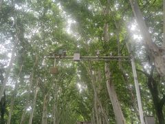 -钟山体育运动公园
