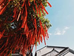 -浏河古镇